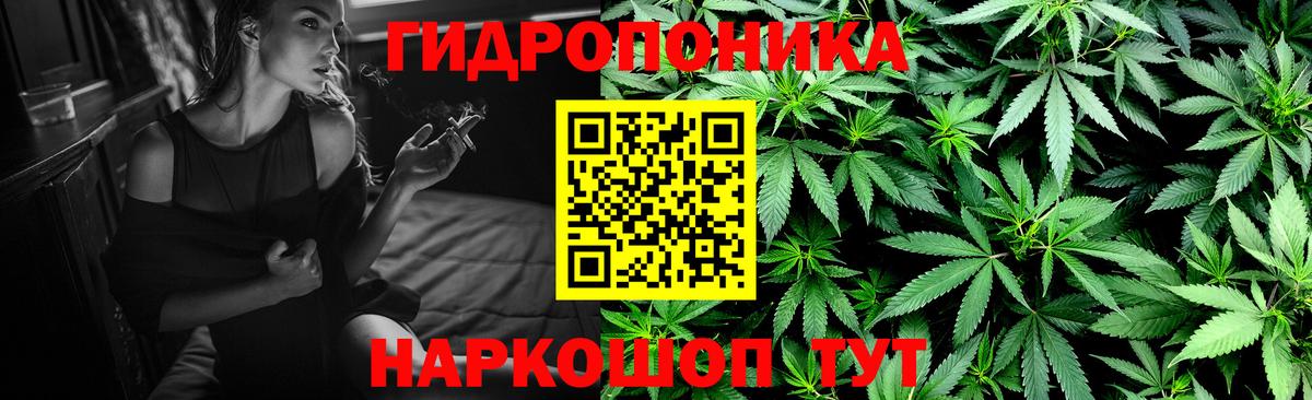 Марихуана план  Шишки марихуана Ganja  Семилуки  Вход с VPN  Конопля тримм 